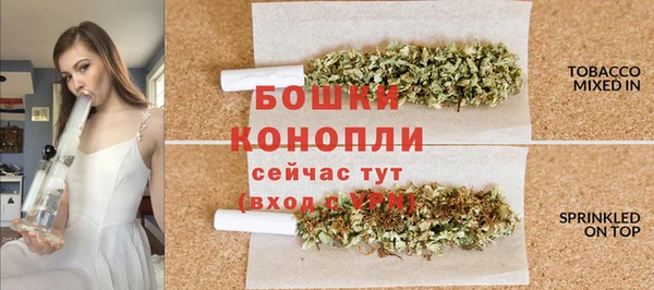 твердый Белокуриха