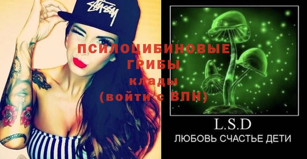 твердый Белокуриха