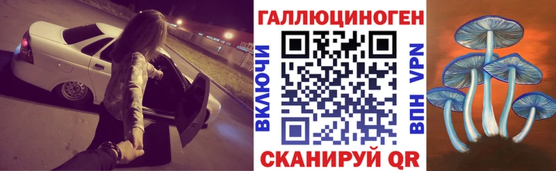 Псилоцибиновые грибы Psilocybe  купить закладку  Севск 